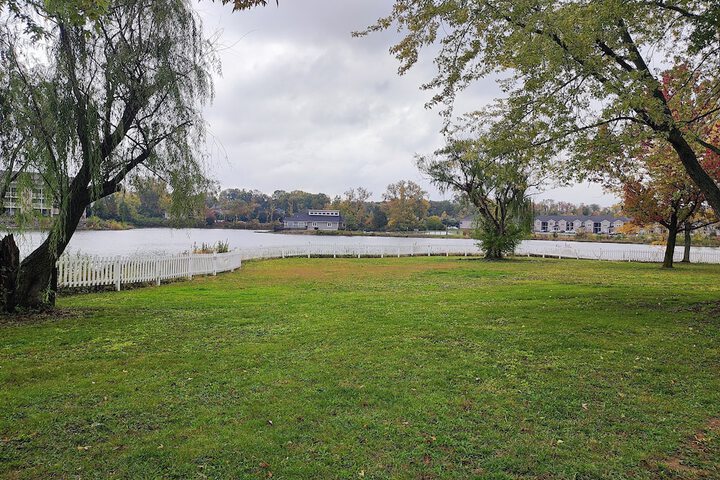 Lake view