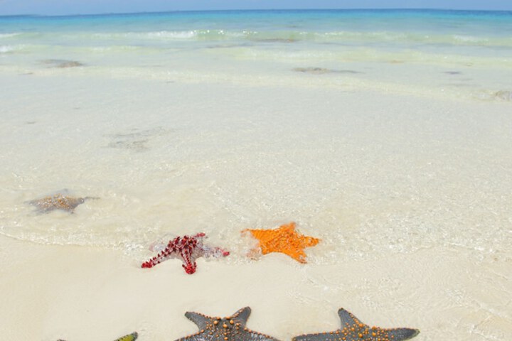 Beach 143 of 150