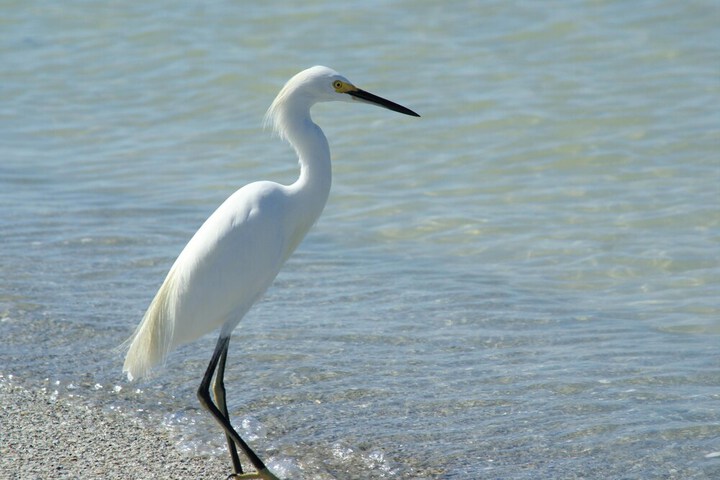 Hotel Interior 79 of 118