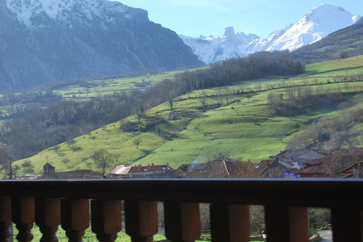 View from room