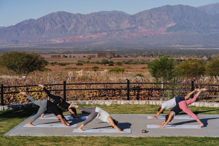 Health and Fitness 26 of 57