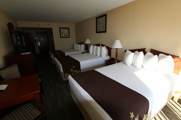 Double Room Accessible Refrigerator, Microwave (6 of 12)