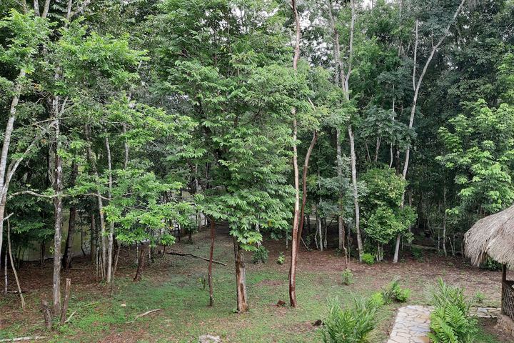 Photo of CAMPAMENTO LACANDONES