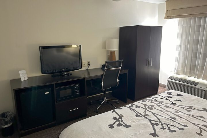 1 King Bed (10 of 21)