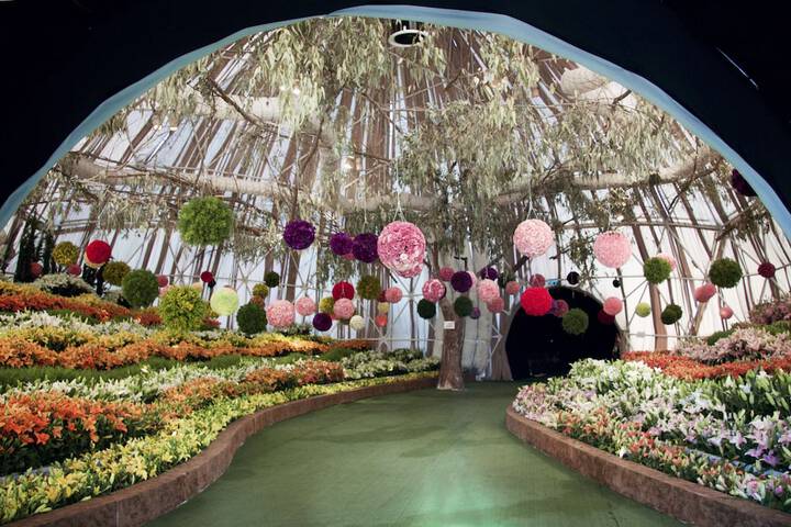 Hotel Entry