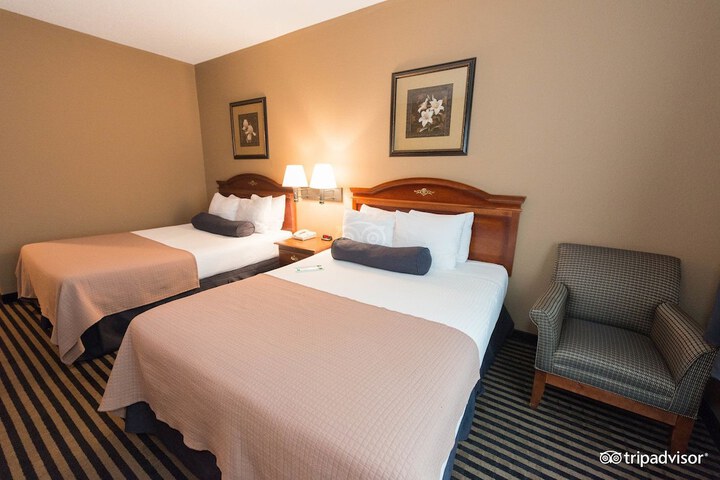 2 Queen Beds (3 of 4)