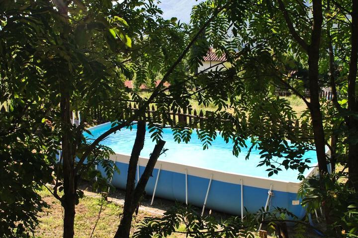Pool 11 of 36