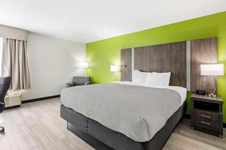 1 King Bed (11 of 11)