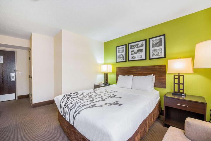 1 Queen Bed (9 of 13)
