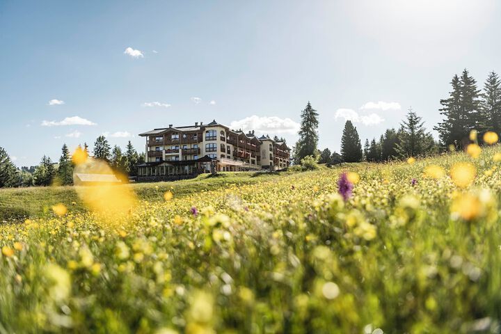 Hotel Steger-Dellai in Castelrotto