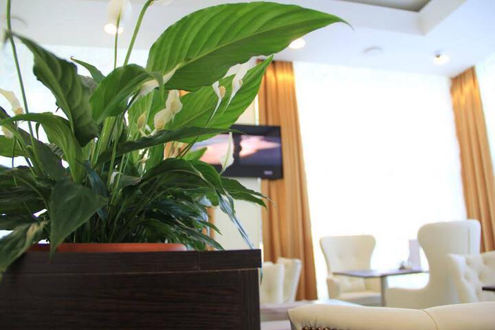METROPOLIS HOTEL SURGUT