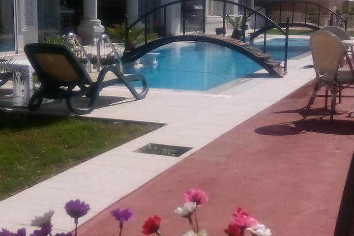 Pool 34 of 67