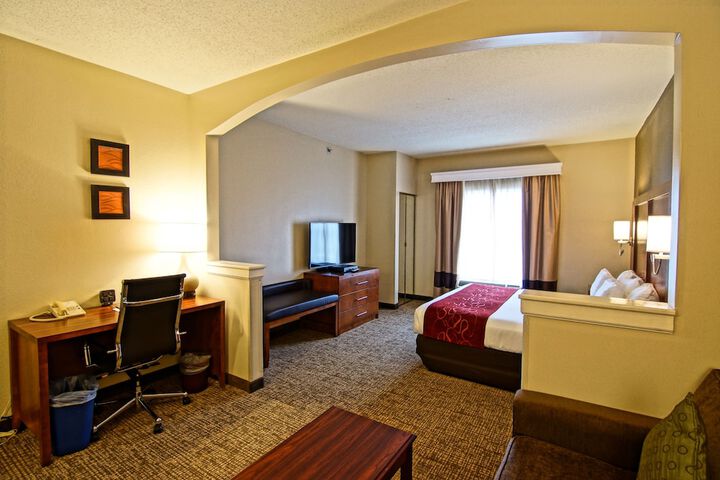 1 King Bed Suite (4 of 25)