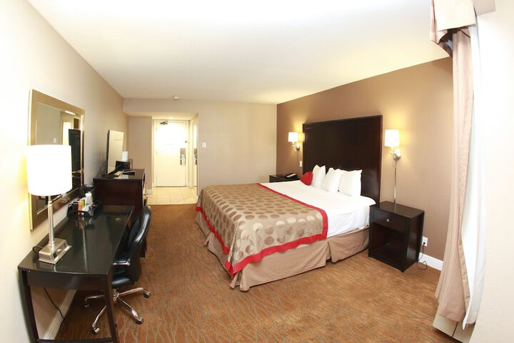 1 King Bed (7 of 13)