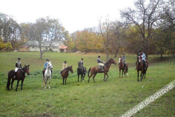 Spa and Wellness Pictures