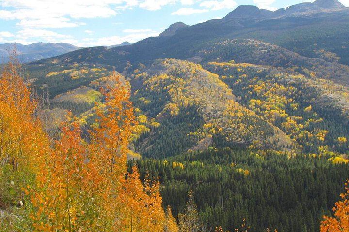Land view from property