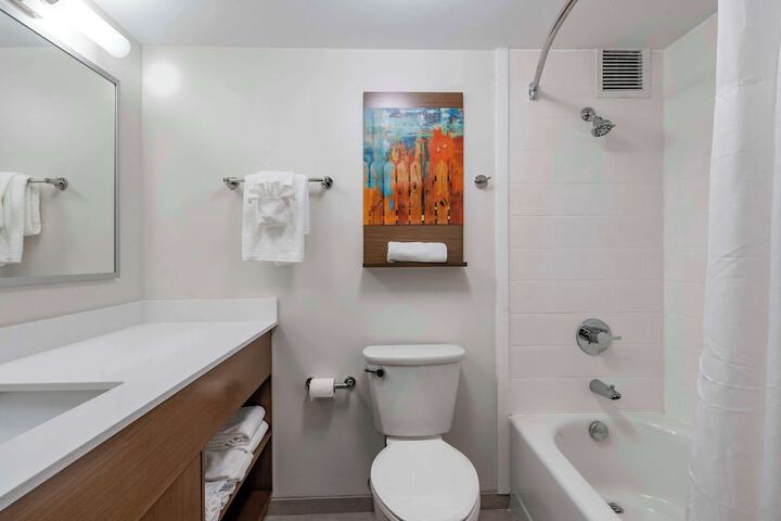 1 King Bed Suite (8 of 26)