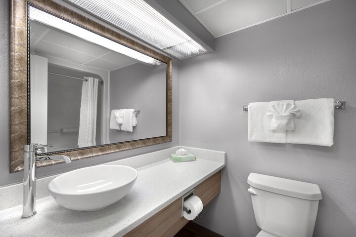 Bathroom Interior Photo