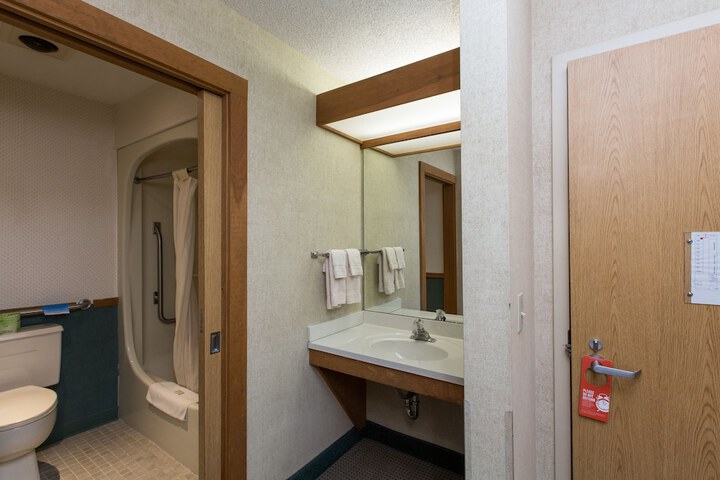 Deluxe King Bed Pet Friendly (2 of 9)
