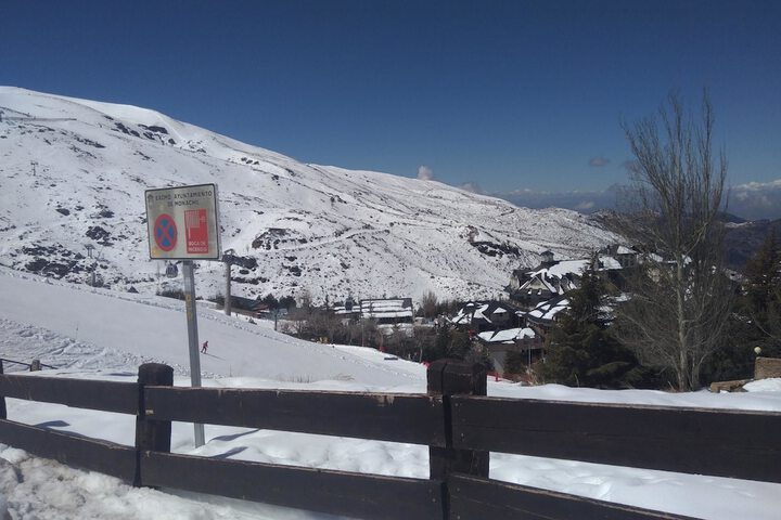 Photo 12