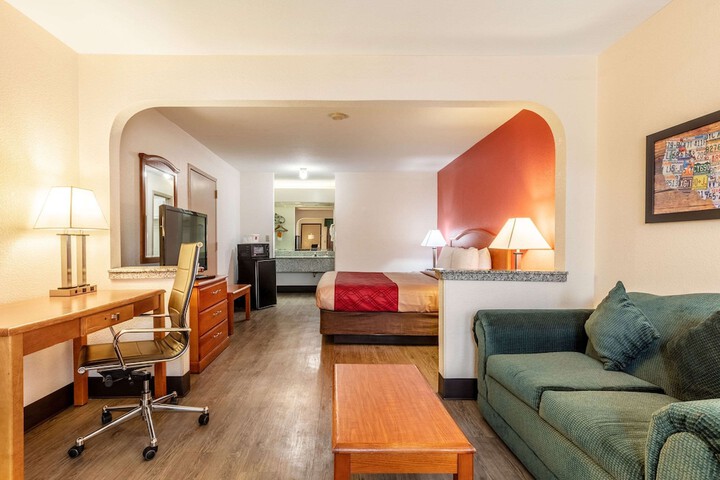 1 King Bed Suite (14 of 22)