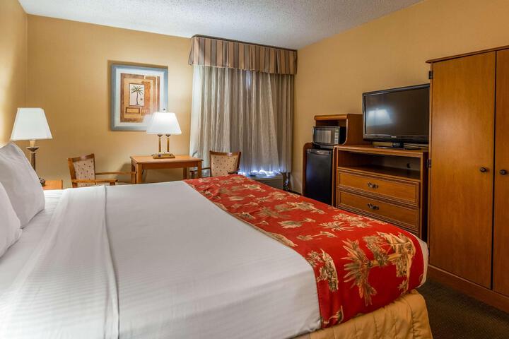 1 King Bed - Wireless High Speed Internet, Microwave, Refrigerator Continental Breakfas (8 of 9)