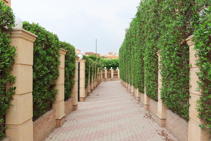 Hotel 121 of 134