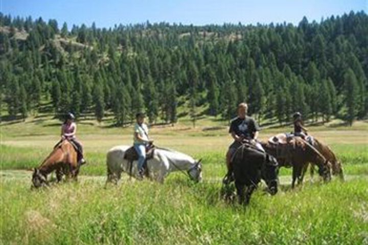 Property Grounds 13 of 20