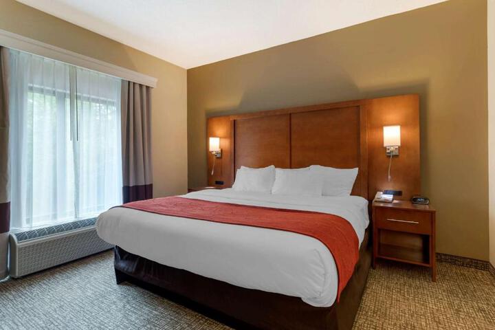 1 King Bed Suite (8 of 14)