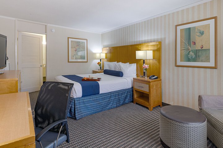 1 Queen Bed (18 of 20)