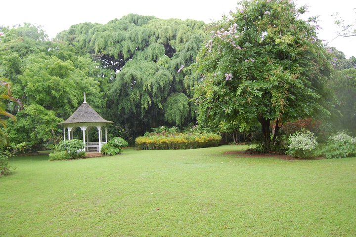 Property Grounds 11 of 15