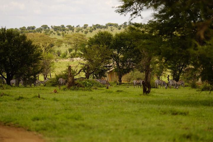 Hotel 92 of 101