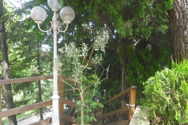 Property Grounds 25 of 39