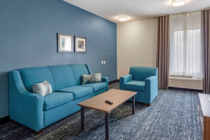 1 King Bed Pet Friendly (9 of 13)