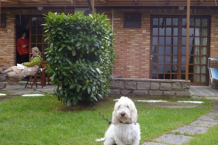 Pet Friendly 82 of 136