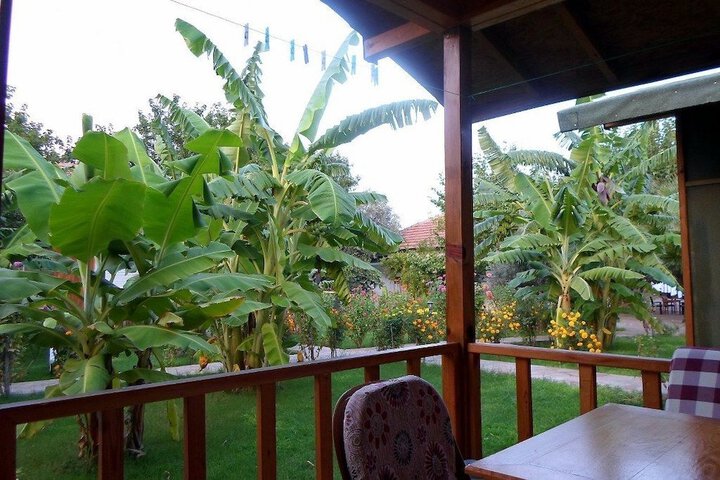 Terrace/Patio 12 of 31