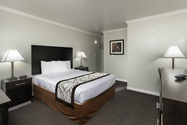 1 Queen Bed (8 of 17)
