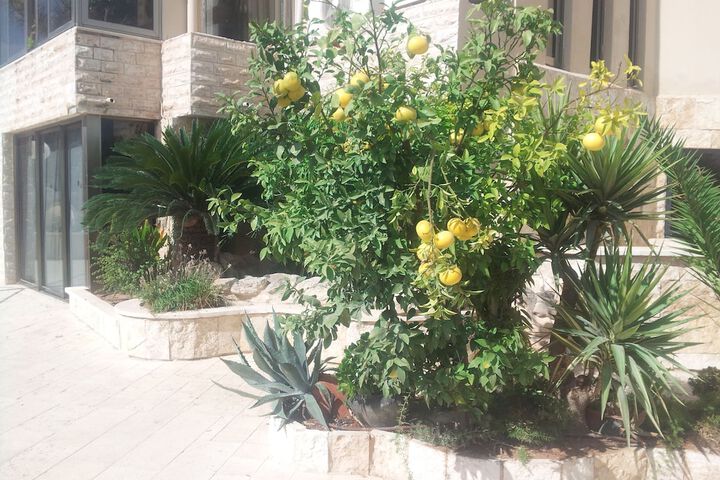 Terrace/Patio 68 of 78