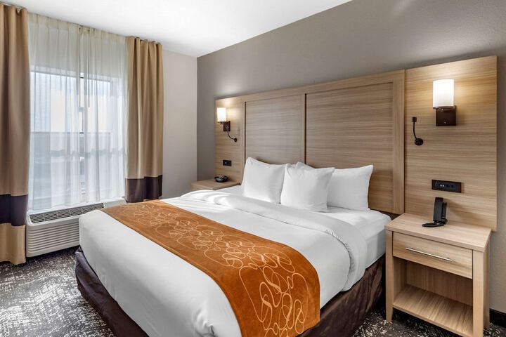 1 King Bed Suite (7 of 15)