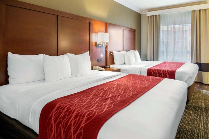 2 King Beds (3 of 29)