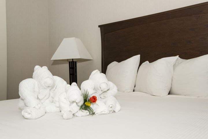 Room 4 of 36