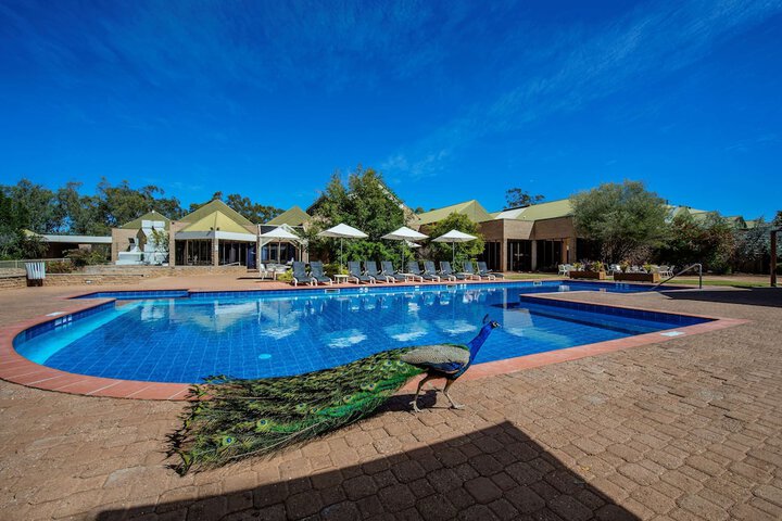Pool 58 of 119