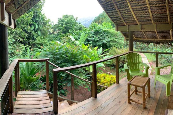 Terrace/Patio 16 of 37