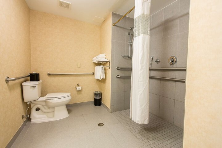 1 King Hearing Accessible Studio with Sofa Bed (6 of 19)