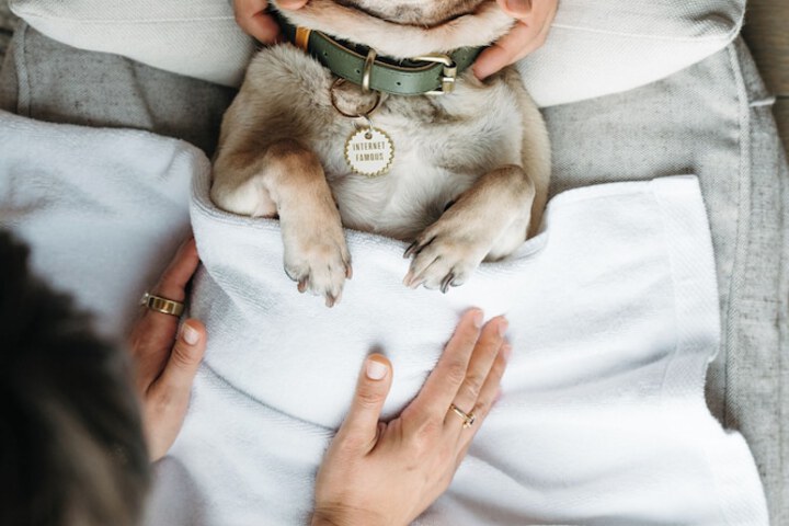 Pet Friendly 58 of 82