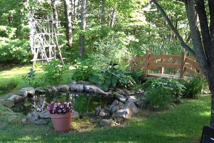 Photo 25