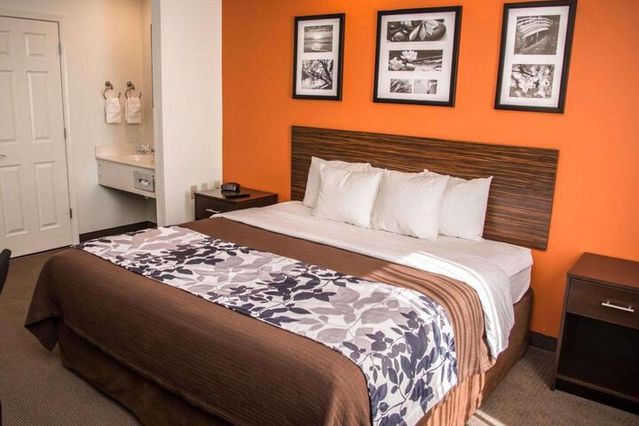 1 King Bed (7 of 9)