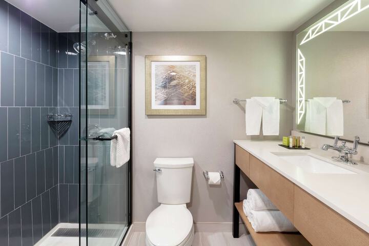 Bathroom shower