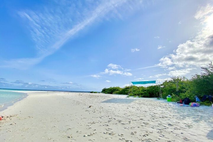 Beach 62 of 74