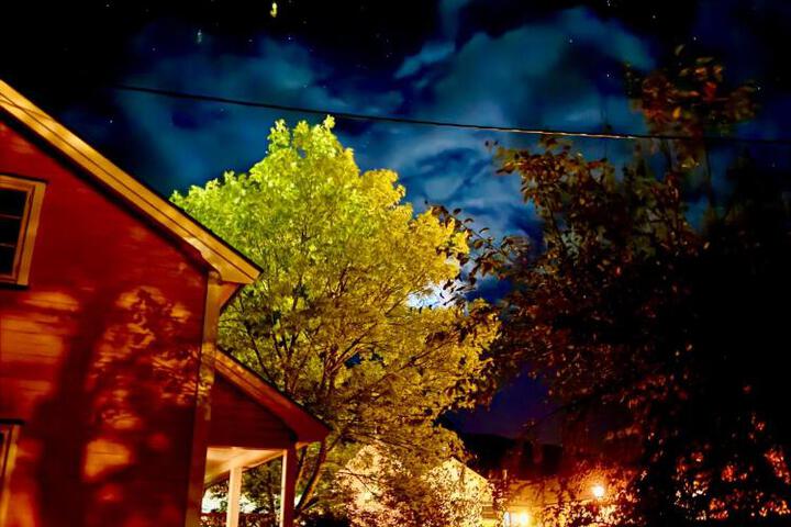 Photo 29